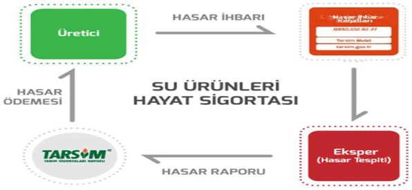 su ürünleri sigortası