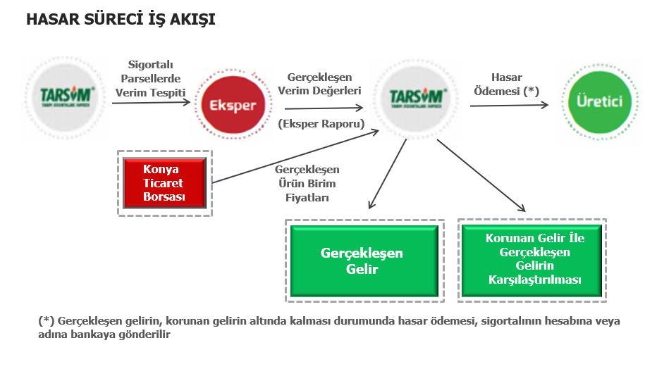 Büyükbaş Hayvan Hayat sigortası