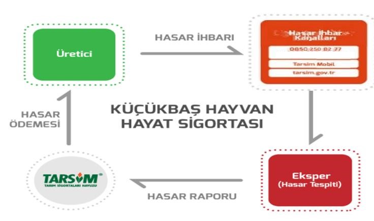 küçükbaş hayvan sigortası