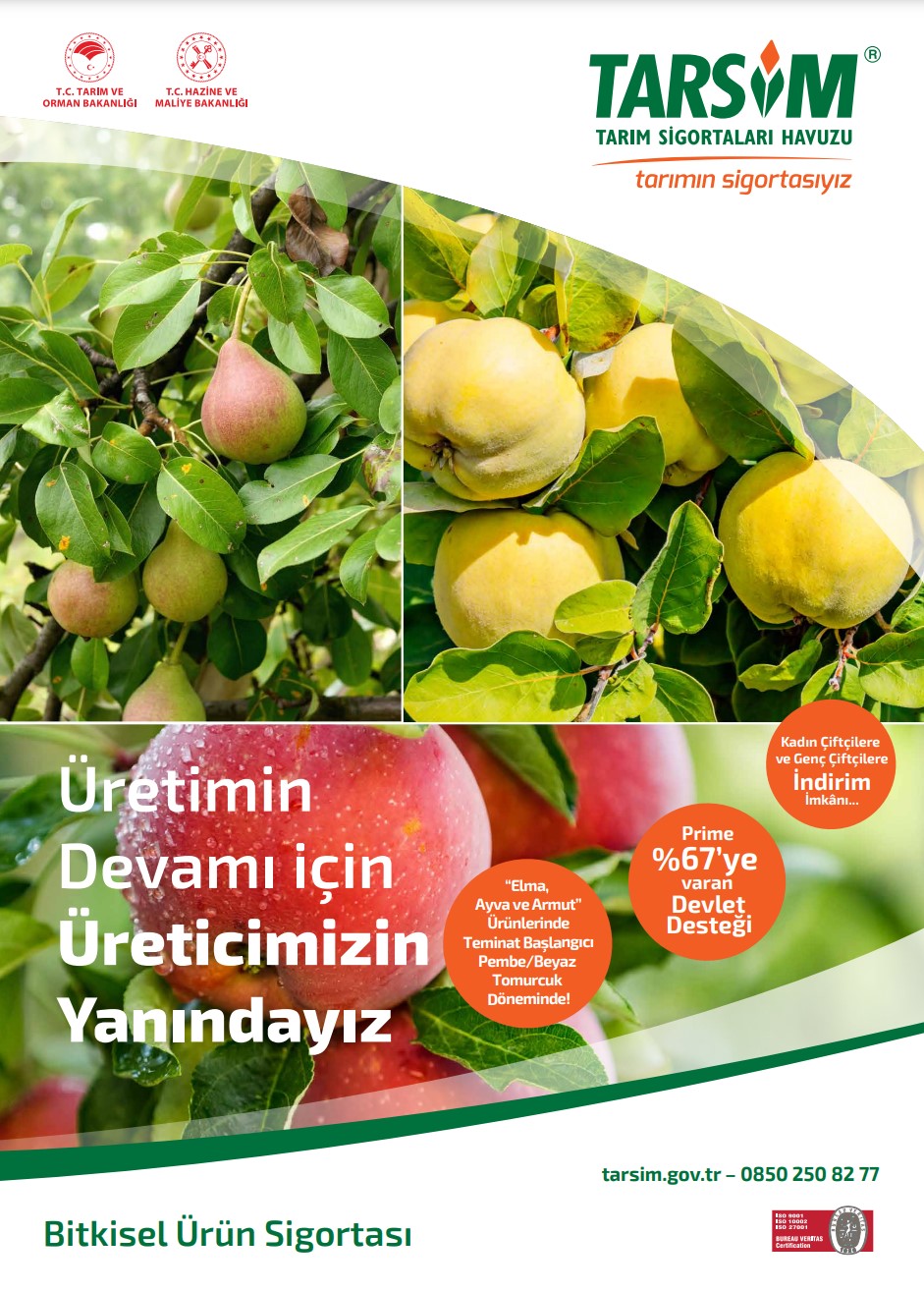 2019 Faaliyet Raporu