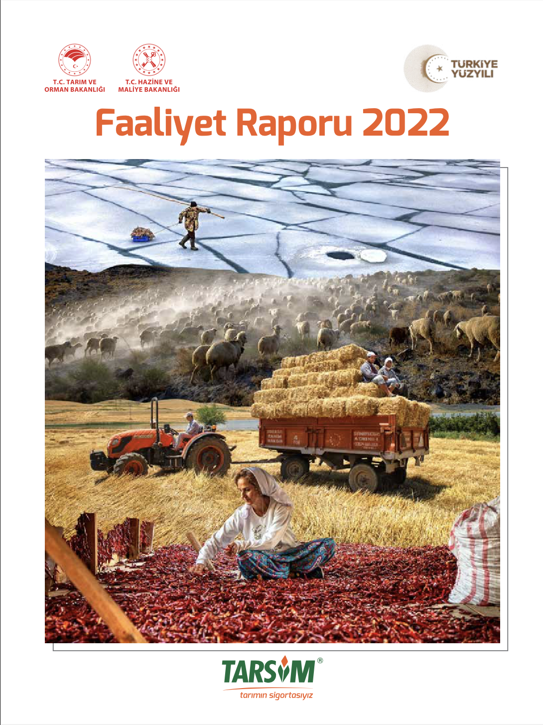 2021 Faaliyet Raporu